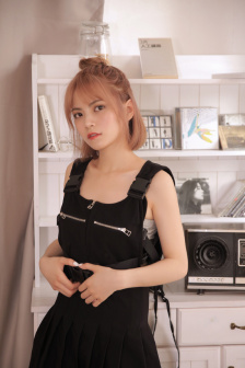野鸭子2